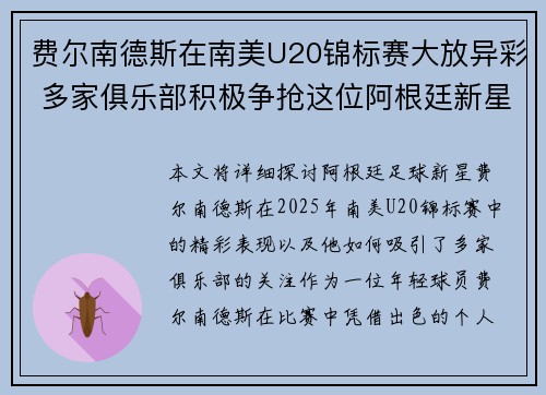 费尔南德斯在南美U20锦标赛大放异彩 多家俱乐部积极争抢这位阿根廷新星